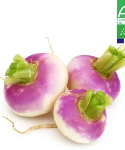 Navet Violet Nouveau Bio 1kg