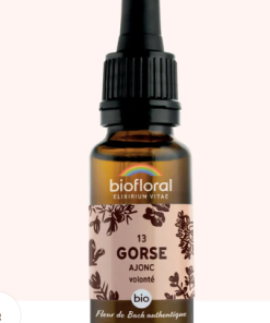 13 – Gorse Ajonc  20ml