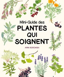 Mini-guide des plantes qui soignent