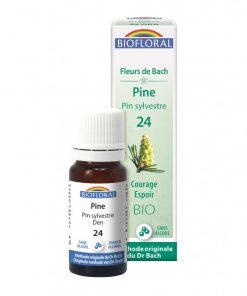 24GRA Pine pin sylvestre 10ml