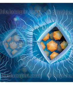 MIMIVIRUS VIROPHAGE