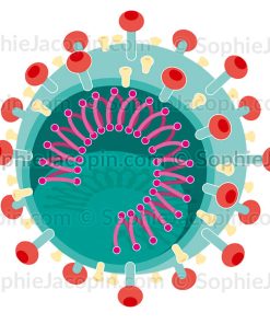 CORONAVIRUS