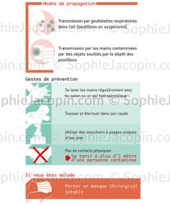 CORONAVIRUS, PROPAGATION, GESTES BARRIÈRE