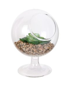 ‘@Verre a pied plante H13 N°3