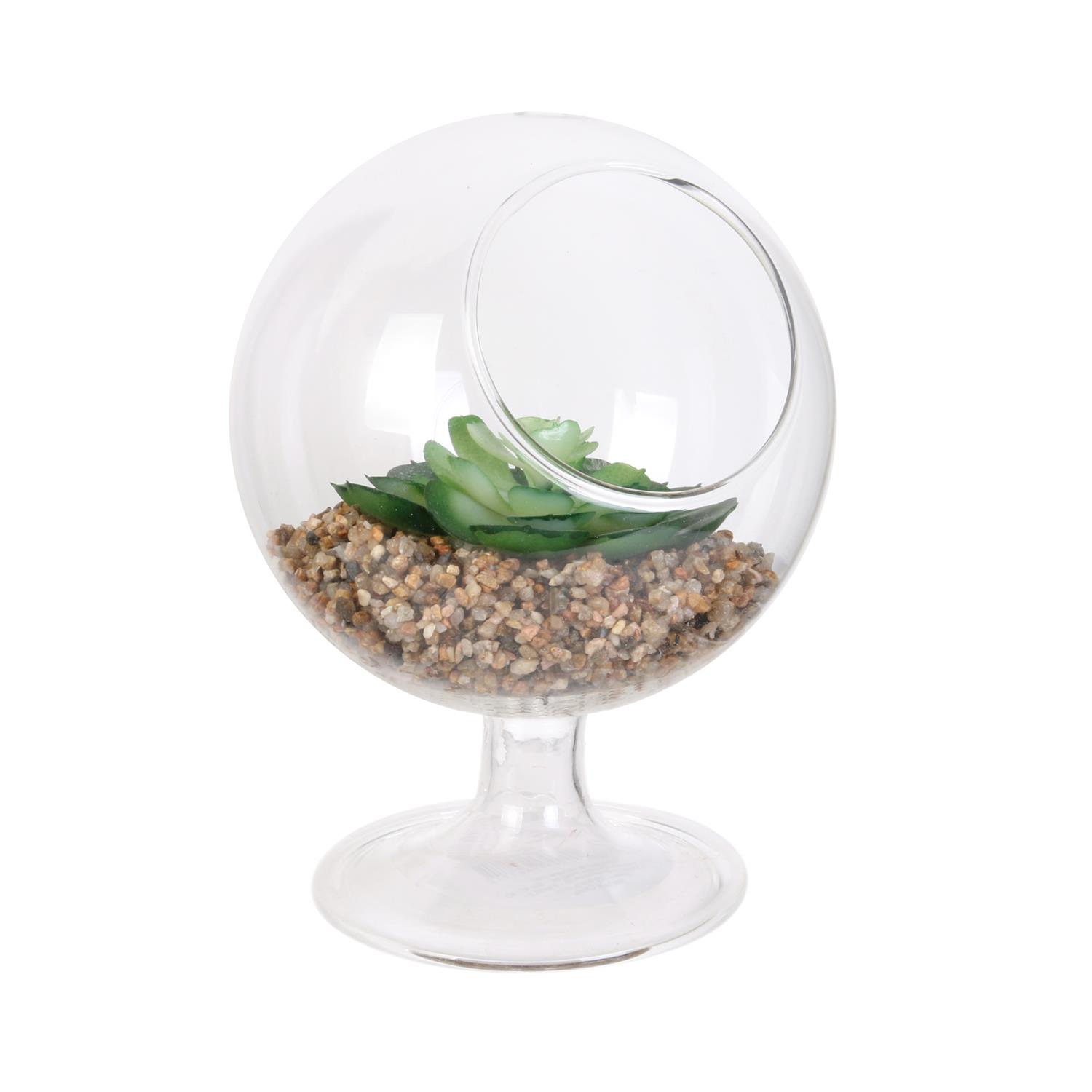 ‘@Verre a pied plante H13 N°3